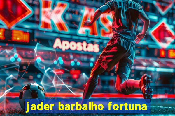 jader barbalho fortuna